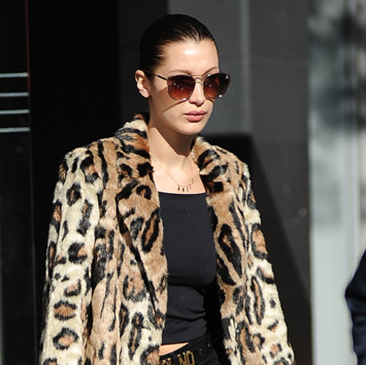 5 Hermès Styles That Will Instantly Give You Celebrity Status — The  Lady-like Leopard